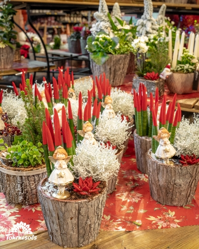 Montages floraux de Noël en pots avec décorations rouges et figurines d'anges.
